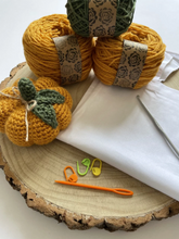 Load image into Gallery viewer, Pumpkin Crochet Kit
